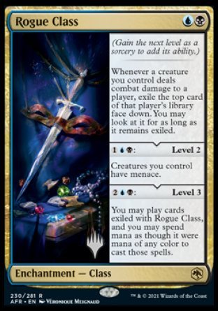 Rogue Class (Promo Pack) [Dungeons & Dragons: Adventures in the Forgotten Realms Promo Pack]