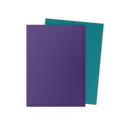 Dragon Shield: Standard 100ct Sleeves - Soul and Petrol