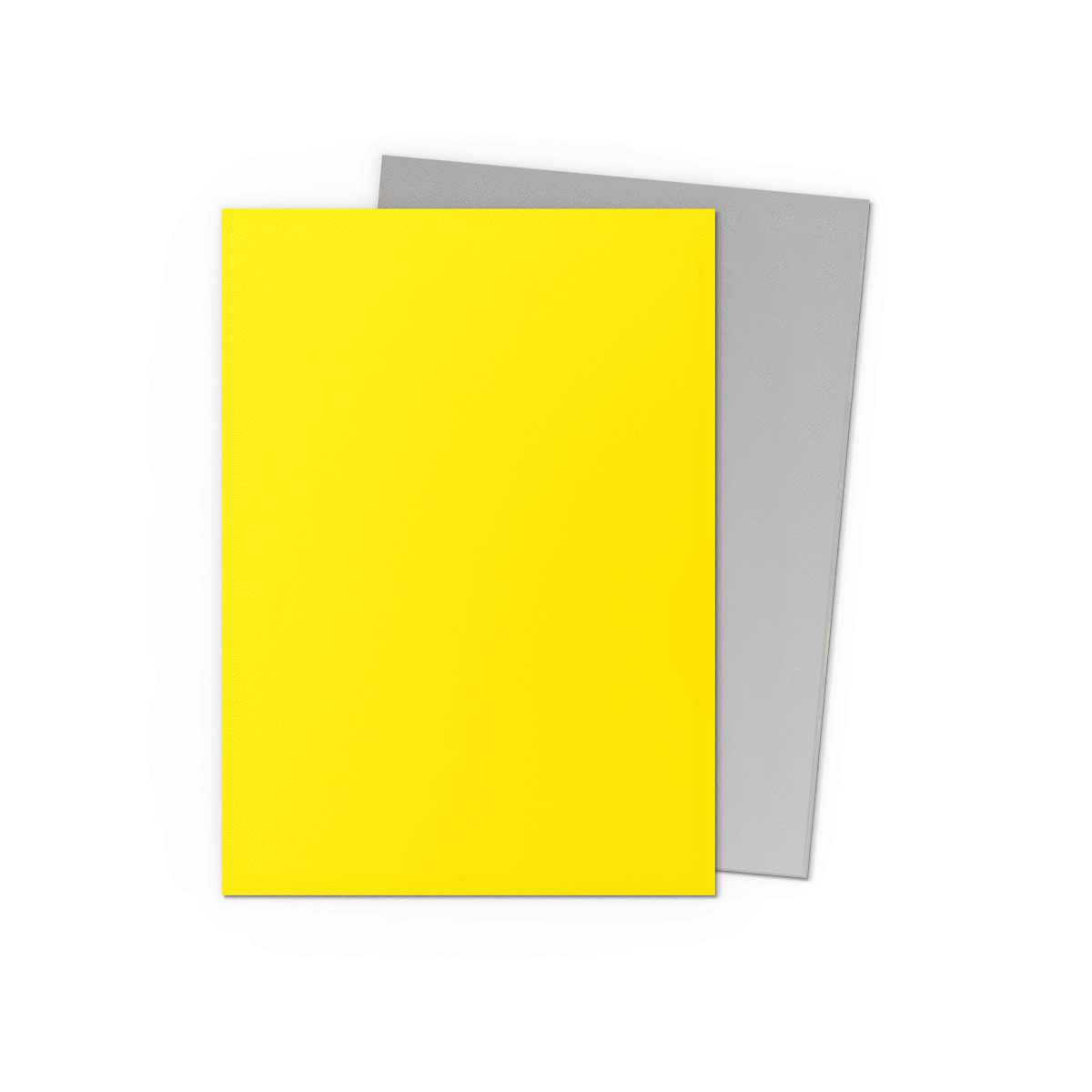Dragon Shield: Standard 100ct Sleeves - Yellow & Silver (Dual Matte)