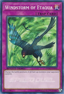 Windstorm of Etaqua [DEM5-EN010] (Promo) Common