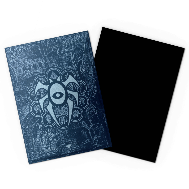 Dragon Shield: Standard 100ct Dual Matte Art Sleeves - House Dimir