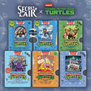 Secret Lair: Drop Series - Secret Lair x Teenage Mutant Ninja Turtles: VHS Villains (Non-Foil Edition)