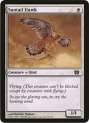 (Oversized) Suntail Hawk [Eighth Edition Box Topper]