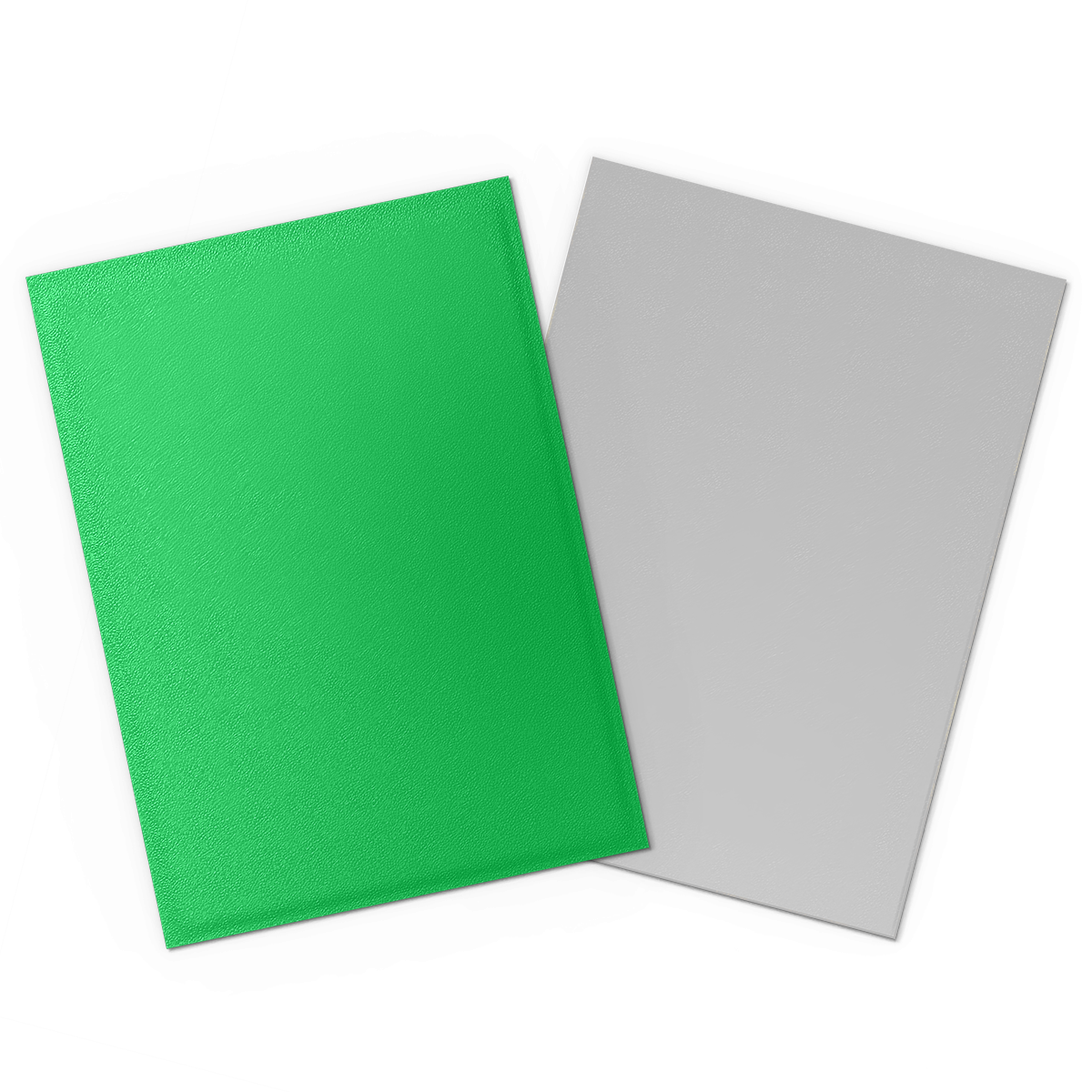 Dragon Shield: Standard 100ct Sleeves - Apple Green & Silver (Dual Matte)