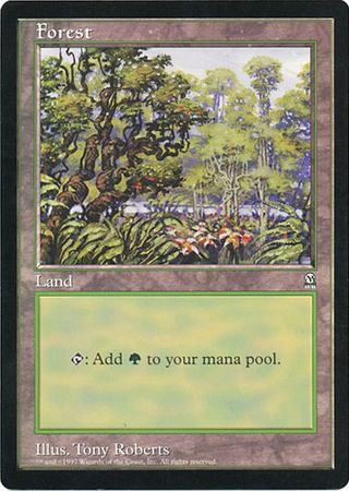 (Oversized) Forest [Oversize Cards]