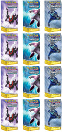 Diamond & Pearl: Great Encounters - Theme Deck Display