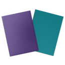 Dragon Shield: Standard 100ct Sleeves - Soul and Petrol