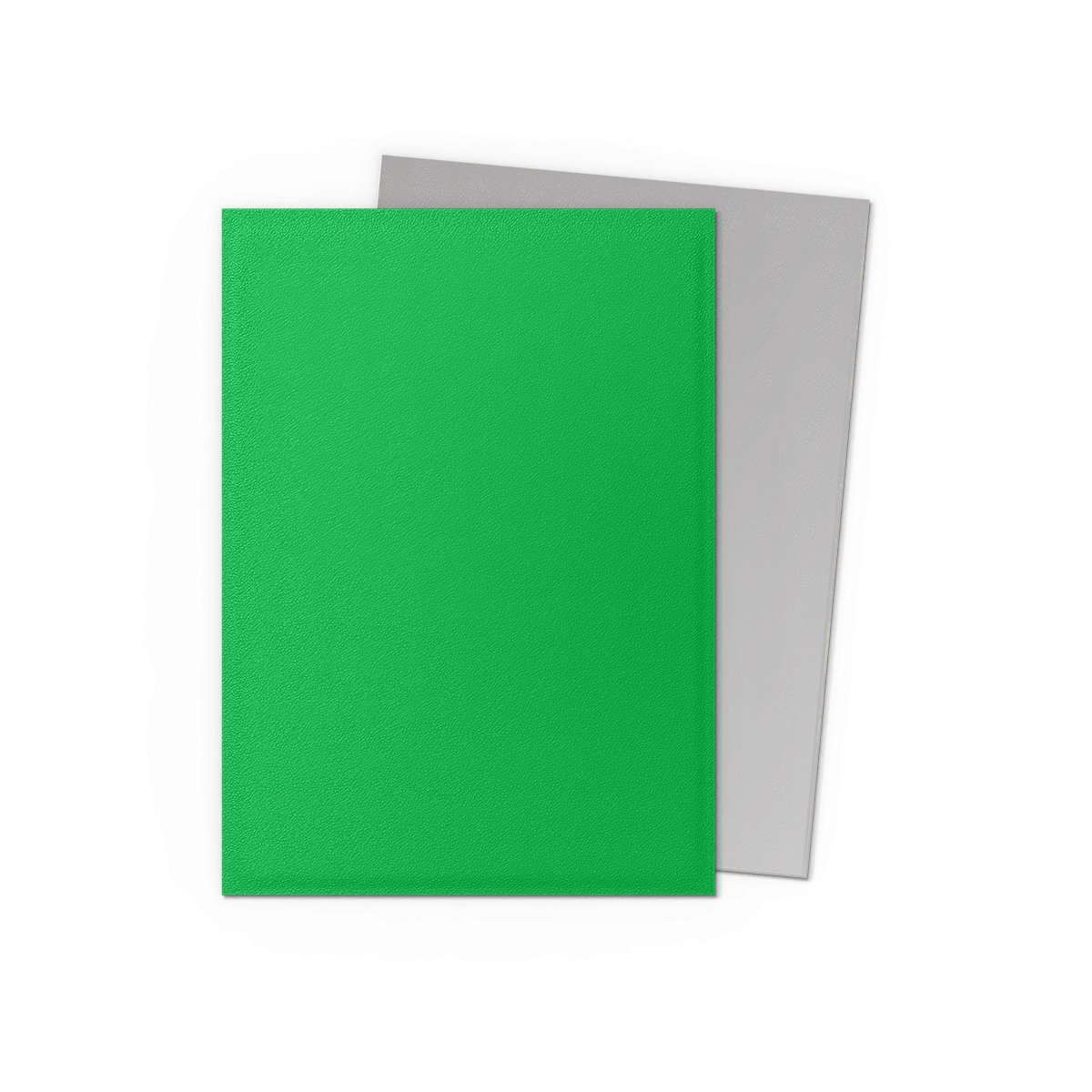 Dragon Shield: Standard 100ct Sleeves - Apple Green & Silver (Dual Matte)