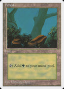 Forest (Two Boulders) (4th Ed 1996 Dated) [Introductory Two-Player Set]