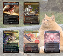 Secret Lair Drop: Cats Are Better Than Dogs (Rainbow Foil Edition)